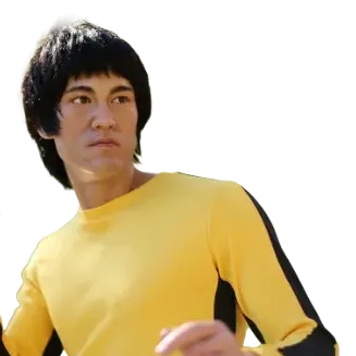author-Bruce Lee